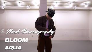 BLOOM - AQYLIA / NOAH Choreography / Urban Play Dance Academy