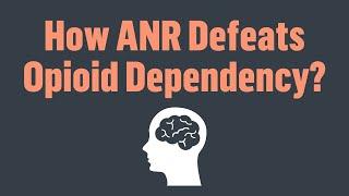 How Does ANR Treatment Effect the Brain and Defeats Opioid Dependency?