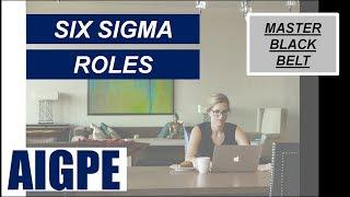 What are the different Six Sigma Project Roles? - Part 02 (FREE Mini Course Series)