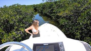 Fishing DEEP in the mangroves {catch and cook}