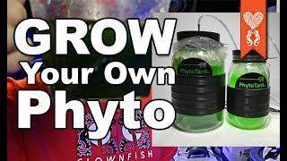 Grow your own phytoplankton using the Poseidon phyto tank and culture for Coralust Wisdom Wednesday