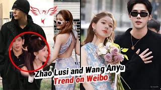 Zhao Lusi and Wang Anyu Trend on Weibo: Irresistible Chemistry Drives Fans Crazy!#zhaolusi#wanganyu