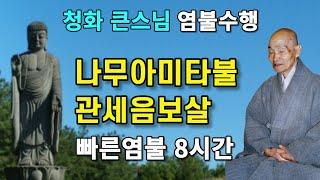 나무아미타불 관세음보살 빠른염불 8시간 청화큰스님 염불 천도법문기도 | 청화스님 염불수행