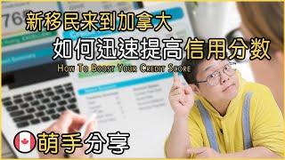 如何在加拿大快速提高你的信用分数｜帮助新移民的4招｜How To Boost Your Credit Score in Canada