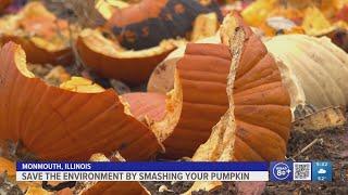 Monmouth College Education Farm has a use for leftover Halloween pumpkins