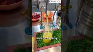 Sugarcane Juice Machine | All Type Sugarcane Juice Machine | Fully Automatic Machine #yt #trending