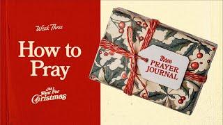 All I Want for Christmas - The Prayer Journal