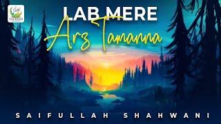 Lab Mere Arz Tamanna | Beautiful Kalam By Saifullah Shahwani | Lyrical Video | Tauheed Islamic