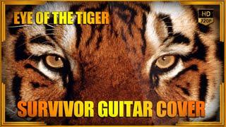 Eye Of The Tiger - Survivor guitar cover by Anubys