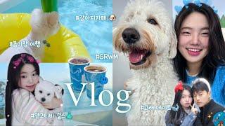 𝑽𝑳𝑶𝑮  국시 끝 근황신고랄까..˚ෆ*₊ l 강아지랑 여행, 미니 GRWM, 연고티비 걸스 모임, 고래 데이트 with 유시몰 🫧