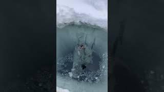 непугливая нерпа всплывает и дышит в океан ологической майне, несмотря на зонд и батометр для иследо