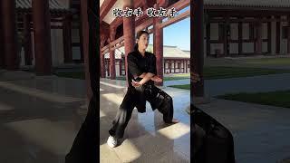 三步教你学会裹鞭炮#零基础学太极 #太极养生动起来 #一套动作行云流水 #中华武术 #太极拳 ©诩小侠