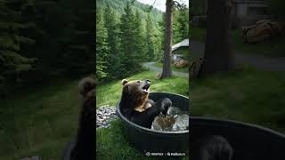 Bear Bliss! A Roar of Joy at the End!  #wildlife #animals #nature