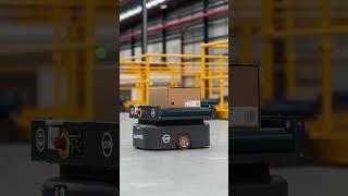 Warehouse Wonders: Robots Taking Warehouse Automation To The Next Level!