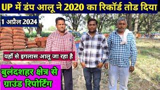 डंप आलू ने 2020 का रिकॉर्ड तोड दिया  बुलंदशहर के किसानो ने किया खुलासा || real farmer education