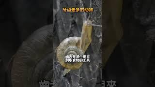 牙齿最多的动物 #百科