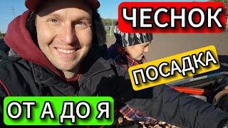  Супер Быстро Посадили Озимый Чеснок #чеснок  @Serverokchannel  #vlog 