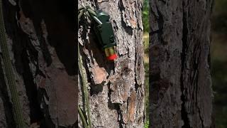 Test Firing a Fith Ops Trip Wire Alarm
