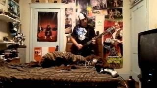 Danger wildman guitar cover