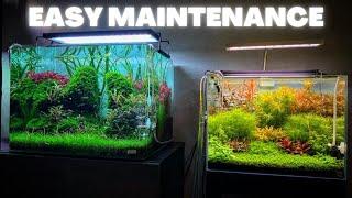 AQUARIUM MAINTENANCE FOR BEGINNERS - QUICK AND SIMPLE