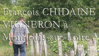 Vins de Loire : François Chidaine, ou la renaissance de Montlouis-sur-Loire