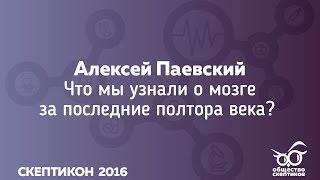 Алексей Паевский - Что мы узнали о мозге за последние полтора века? (Скептикон-2016)