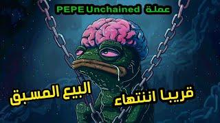 عملة الميم pepe unchained قريبة من انتهاء البيع المسبق