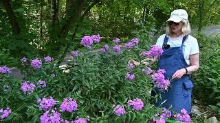 KY Native Garden July 22   4K