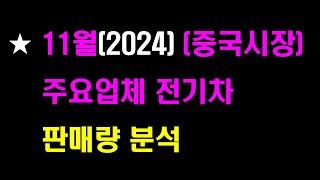 (11월)중국시장 전기차 판매량 분석