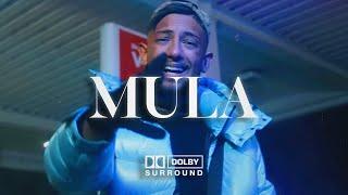 (FREE) BOBBY VANDAMME X AMO TYPE BEAT - "MULA" | 2024