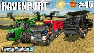 Harvesting 330.000 LITERS of SUNFLOWERS and WHEAT | Ravenport #46 | Farming Simulator 22