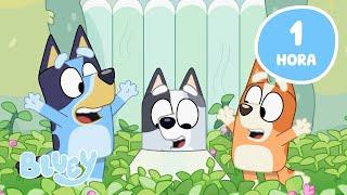 AO VIVO: Aventuras de Primavera com Bluey   | Melhores Momentos de Bluey | Bluey