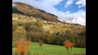 Suoni della natura - Canto di uccelli - 1