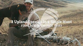 3 Upland Species in a Day | Final Rise 'In The Field' S1E3