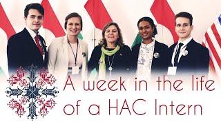Hungarian American Coalition - A Week in the Life of a Coalition Intern