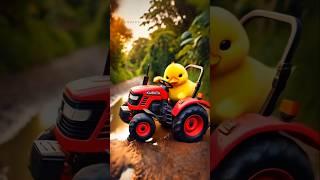 Cute Little Duck Driving a Kubota Tractor Through Slush! #littleduck #shorts