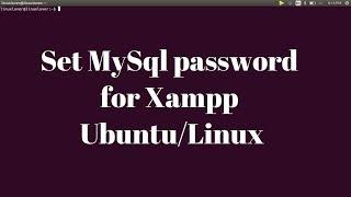 Set MySql root password for Xampp