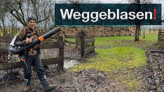 STIHL BR 800 C Laubbläser räumt auf, Gartenarbeit im Herbst, Praxischeck und kurze Vorführung