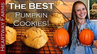 The BEST Pumpkin Cookie Recipe! Must-try Fall Dessert | Heartway Farms