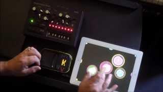 FEED for iPad, Demo and Tutorial of this great little looper