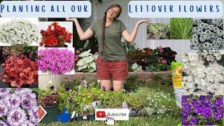 Planting All Our Leftover Flowers!!!