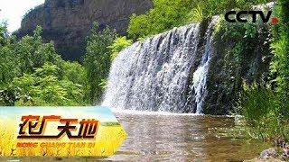 《农广天地》 20180427 幽幽山谷中郝峪 | CCTV农业