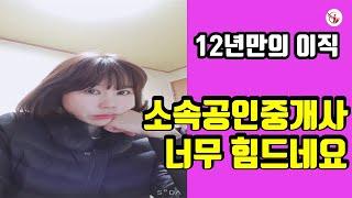 소속공인중개사 정말 이 일을 계속 해야하나, 끊임 없는 할일, 부동산 이야기 해주는 언니