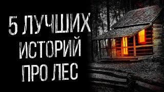 5 ЛУЧШИХ ИСТОРИИ ПРО ЛЕС ОТ АЛЬБИНЫ НУРИ - УЖАСЫ. МИСТИКА