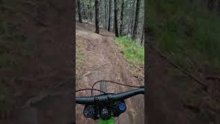 Charging down "Phoenix" during the CAP WGS race 1 #mtb #dhmtb #cap #race #fyp
