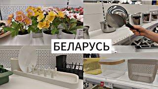 БЕЛАРУСЬ | ВПЕРВЫЕ В ЭТОМ МАГАЗИНЕ ИКЕА  | ЗАБЕЖАЛИ В SINSAY