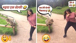 और लो इन बदमाश बंदरों से पंगा  । funny animals videos 2023 । #mrboxinfo