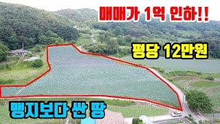 [강원도싼땅매매]  매매가 1억 인하~  ●  맹지보다 싼 평당 12만원  ●  12,688㎡ (3,838평)  ●  (8108)