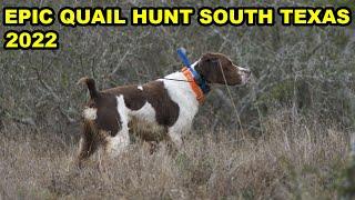 South Texas Quail Hunting 60 COVEYS over 5 HOURS