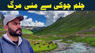 Chilam Chowki to Minimarg Travel Vlog |  Rainbow Lake In Domel Minimarg Gilgit Baltistan Pakistan